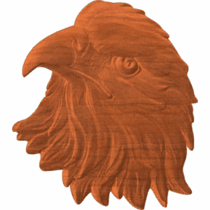 Eagle Head 2